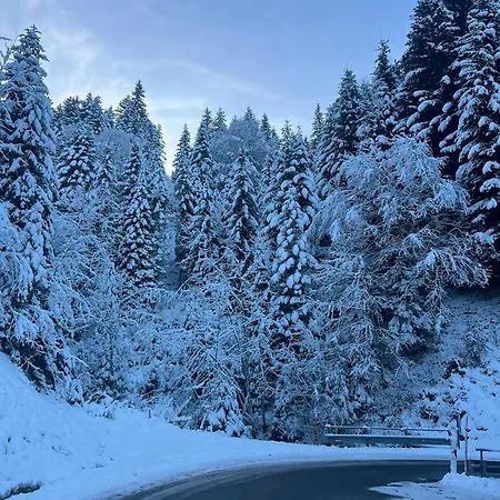 Apartament T2 A Torgon *