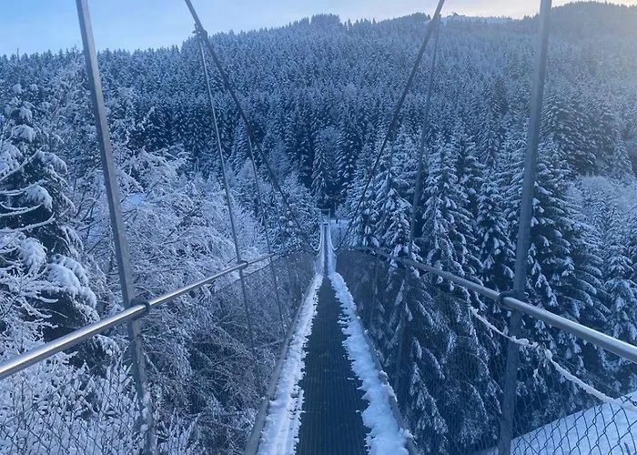 T2 A Torgon 公寓 Vionnaz