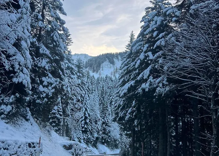 T2 A Torgon 公寓 Vionnaz