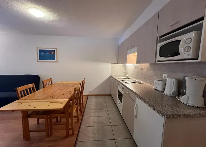 T2 A Torgon 公寓 *