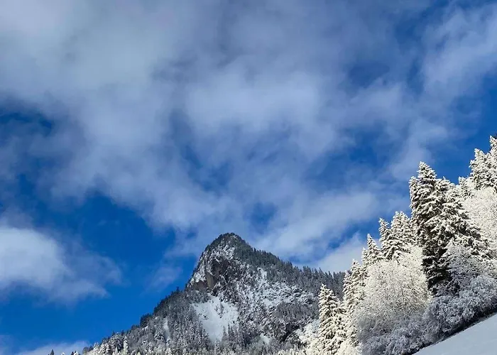 T2 A Torgon 公寓 Vionnaz