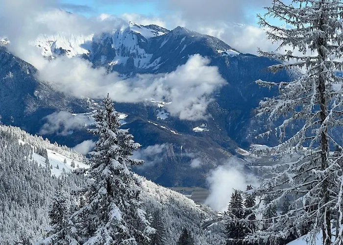 T2 A Torgon 公寓 Vionnaz