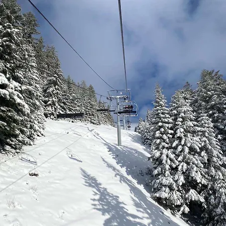 T2 A Torgon Vionnaz