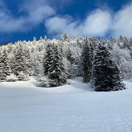 T2 A Torgon * Vionnaz