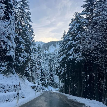 T2 A Torgon Apartment Vionnaz