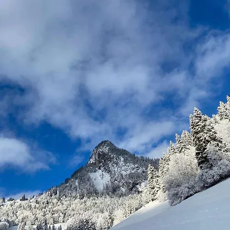 T2 A Torgon Apartment Vionnaz