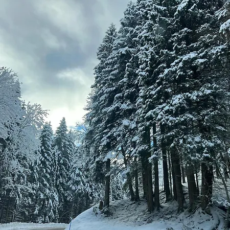 T2 A Torgon Apartment *