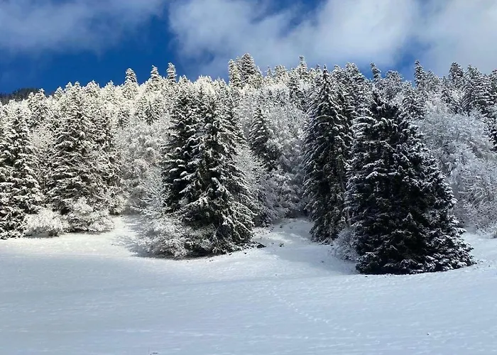 T2 A Torgon * Vionnaz