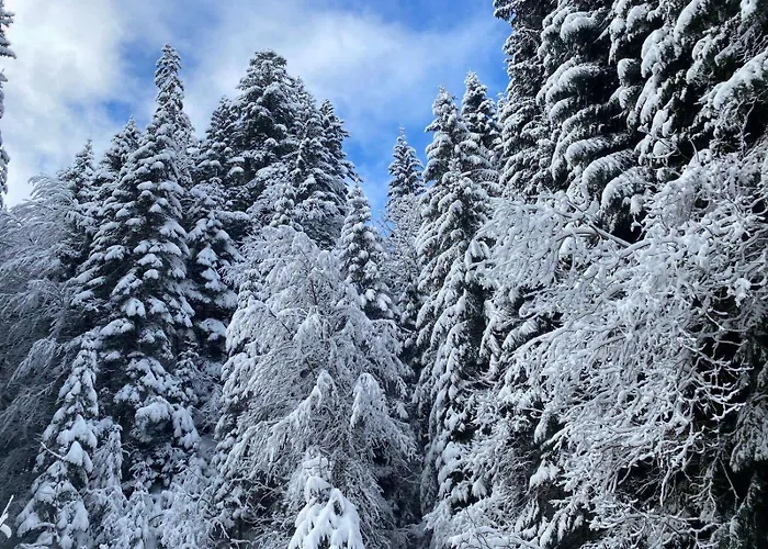 T2 A Torgon アパート *