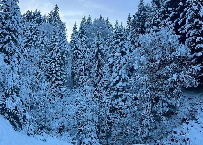 アパート T2 A Torgon *