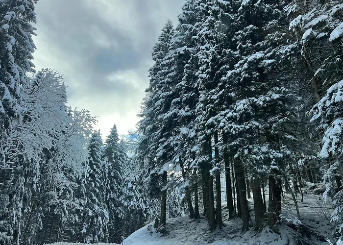 T2 A Torgon アパート *